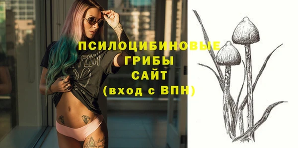 винт Краснослободск