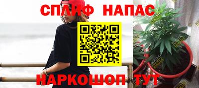 герыч Гагарин