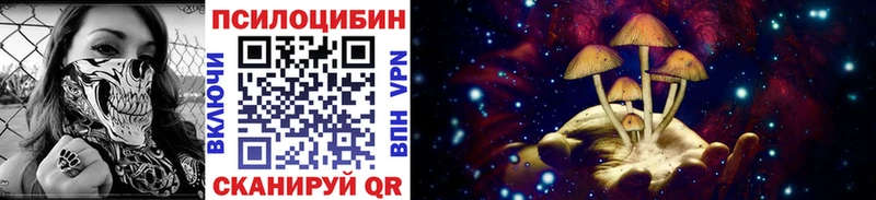Галлюциногенные грибы мицелий  купить  цена  дарк нет телеграм  Подольск 