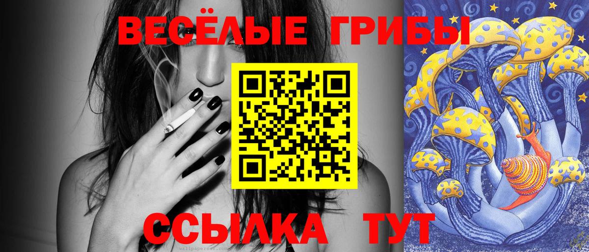 Псилоцибиновые грибы Magic Shrooms  Псилоцибиновые грибы мицелий  Вход с VPN  Подольск 